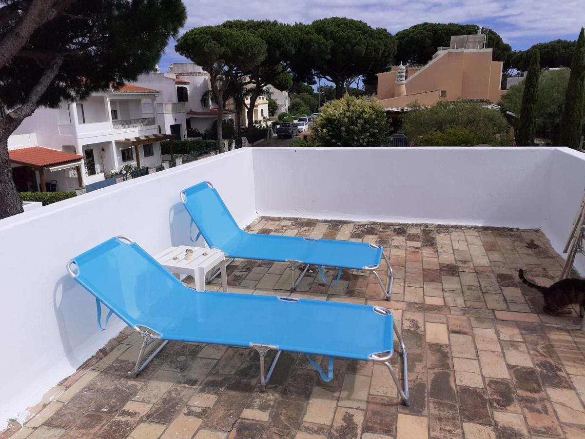 Eucalipto Séjour chez l'habitant District de Faro